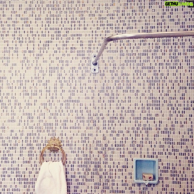 Ari Wegner - 73 Likes - The Bling (Towel) Ring