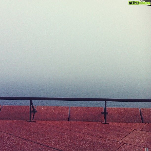 Ari Wegner - 52 Likes - Where you at this morning Sydney?