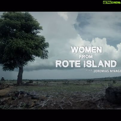 Arie Kriting - 9.9K Likes - Film WOMEN FROM ROTE ISLAND
Tayang 22 Februari 2024, jangan lupa saksikan ya teman-teman. Semoga hadir juga di bioskop terdekat di kota kalian. Hormat. šš½