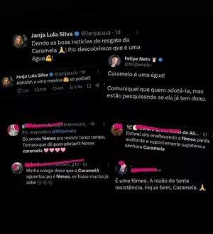 Arthur Morisson Instagram - Bom, eu deixo a conclusão pra vocês… 🐴🌈