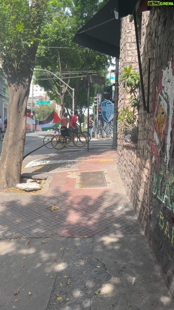 Arthur Morisson - 22.6K Likes - Um grupo de manifestantes com bandeiras da Palestina acabou de passar por mim na altura do Bixiga-SP em direção à Paulista. O que você acha que vai acontecer?
