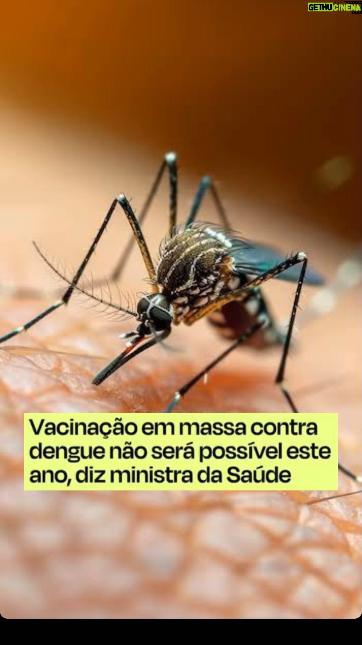 Arthur Morisson - 8.8K Likes - Não teremos vacina contra dengue por questões de segurança nos testes.
UĆ©???? Como assim??
Estão preocupados com a segurança agora?
Onde serĆ” que eu jĆ” ouvi isso?
NĆ£o era esse o discurso para atacar Bolsonaro e chamĆ”-lo de genocida??
VocĆŖs sĆ£o uma piada mesmo! š