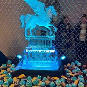 Aryan Simhadri Instagram - I can't believe we're wrapped. It's been a crazy year, but thank you everyone for making it great. Can't wait for the show to come out!