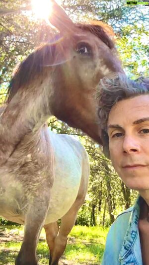 Asaf Avidan Instagram - Our new rescue, Asteria, arrived safely at @differentpulses_sanctuary