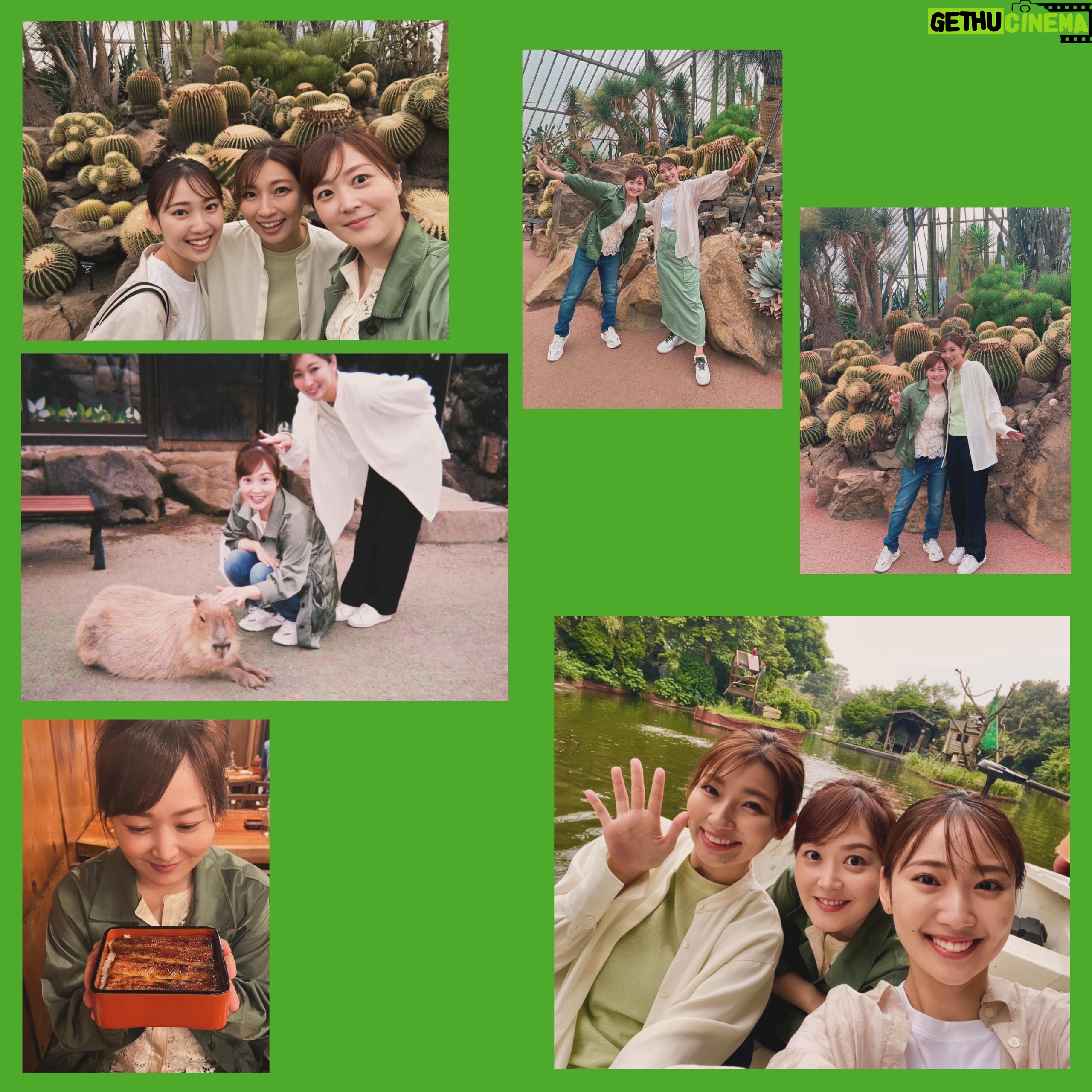 Asami Miura - 147.4K Likes - ...
昨年、静岡旅行をしたときの写真です。
そして今日も静岡におじゃましています‼︎
明日のZIP!は静岡県の熱海、沼津から
生中継でお送りします。
#畑下林田水卜
#ZIP