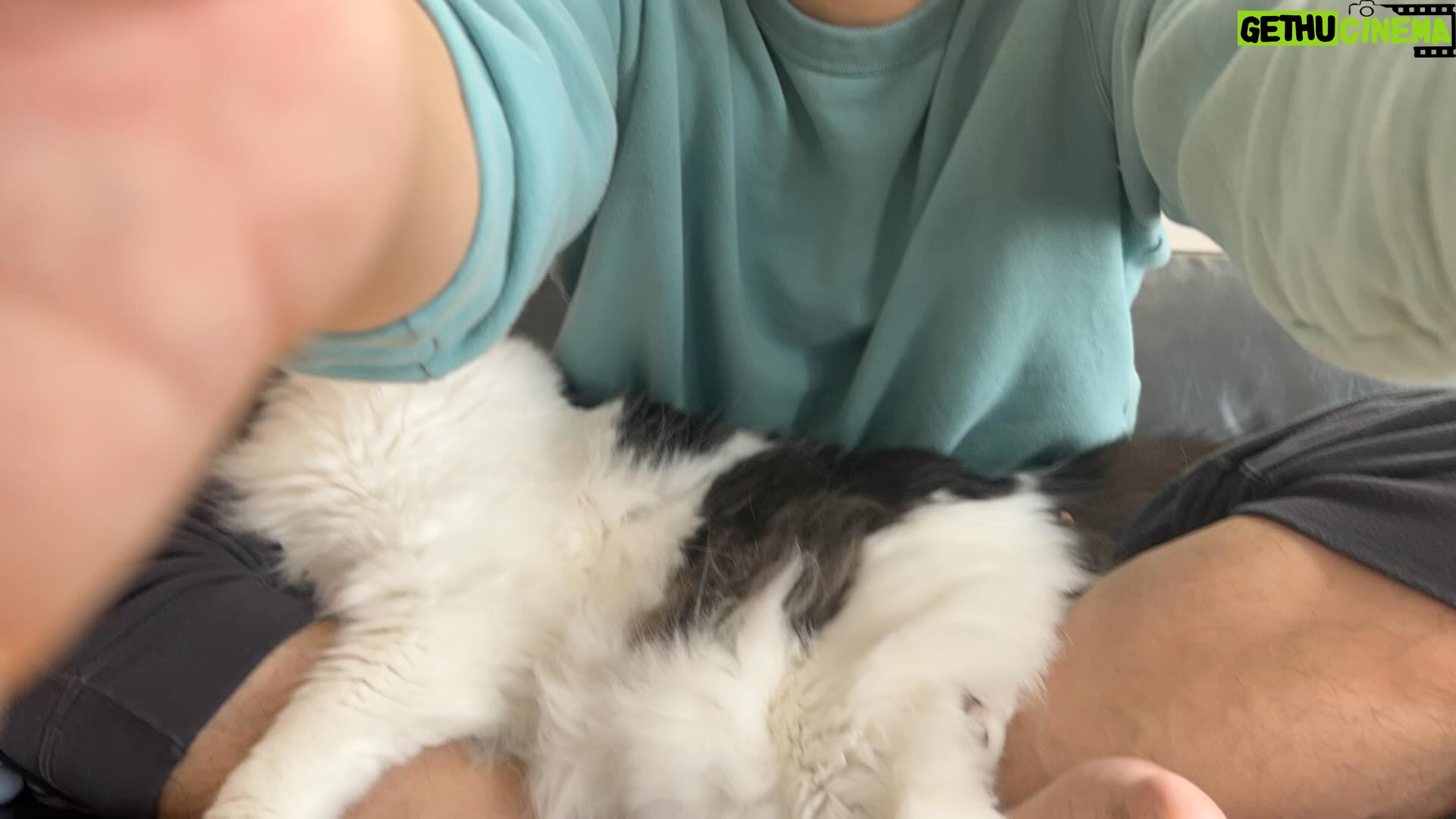 Asei Miki - 66.4K Likes - この度、結婚致しました!
猫5匹と人間2人で協力してがんばっていきます!
また直接ご報告できなかった先輩方、同期後輩のみんな、
ファンの皆様、そして関係者各位の皆様、SNS上での報告になってしまい申し訳ございませんが、
今後ともご指導ご鞭撻のほどよろしくお願いいたします!