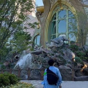 Asei Miki Instagram - ディズニーシーの新エリア「ファンタジースプリングス」に招待していただきました。
ずっと拍手してた。エリアもアトラクションも全部凄すぎる。涙でます。全部に手振ってた。ほんまに全部に手振ってた。
#ディズニーシー 
#disnysea 
#ファンタジースプリングス
#fantasysprings 
#ランタンフェスティバル
#フローズンジャーニー
#6月6日グランドオープン
#ティモン