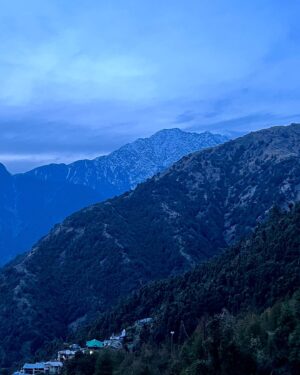 Ashish Shakya Instagram - I spent the last few weeks in Dharamkot, about 20 minutes upward from Mcleodganj, the adopted home of the revered mutton momo. Dharamkot is full of digital nomads and spiritual junkies who say things like 'cosmic interdimensional navel therapy' with a straight face. It was a solo trip (minus the few days that buddy @anuyeah dropped in for) which meant that I extroverted like I have never extroverted before. It's the kind of place where you end up having long convos with random travelers at cafes. I look forward to doing the same in Bombay, just to see people's horrified looks as they run screaming into traffic.

So if you're thinking of coming to Dharamkot, don't. Because right now it's the perfect balance of idyllic and active, and you mofos will ruin it like you did Kasol. Anyway, swipe to the end for food and stay reccos.