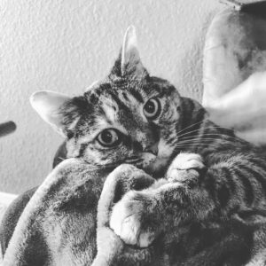 Ashley Clements Instagram - My Valentines are models