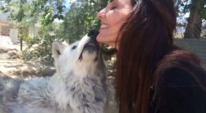 Ashley Laurence Instagram - Happy Thanksgiving! Wishing everyone a beautiful holiday ✨🍂🍁