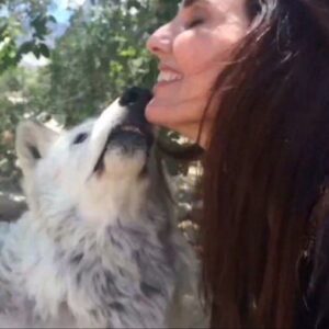 Ashley Laurence Instagram - Wishing everyone a wonderful weekend 🐺

 

. 

. 

#horrormovies #horrorclub #horrorfilm #horrorfilms #horrormovie #horrormovies #horrorgeek #christmas  #horrorjunkie #horrorfan #horrorfans #horrorlife #horrorgram #instahorror #horrorfamily #horrorobsessed #ilovehorror #horrorfam #horrorlover #horror #hellraiser