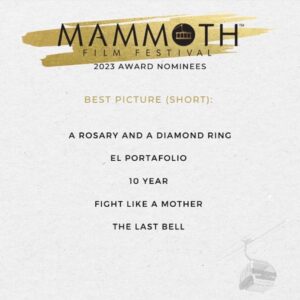 Ashley Platz Instagram - Beyond moved by the response to FIGHT LIKE A MOTHER screening at (and being nominated for best short film by) @mammothfilmfestival - What a wild weekend! Yes. That’s my Prius covered in snow.