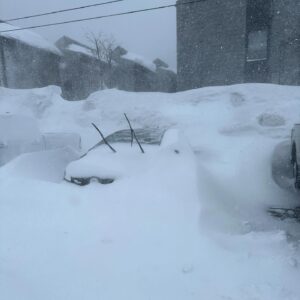 Ashley Platz Instagram - Beyond moved by the response to FIGHT LIKE A MOTHER screening at (and being nominated for best short film by) @mammothfilmfestival - What a wild weekend! Yes. That’s my Prius covered in snow.