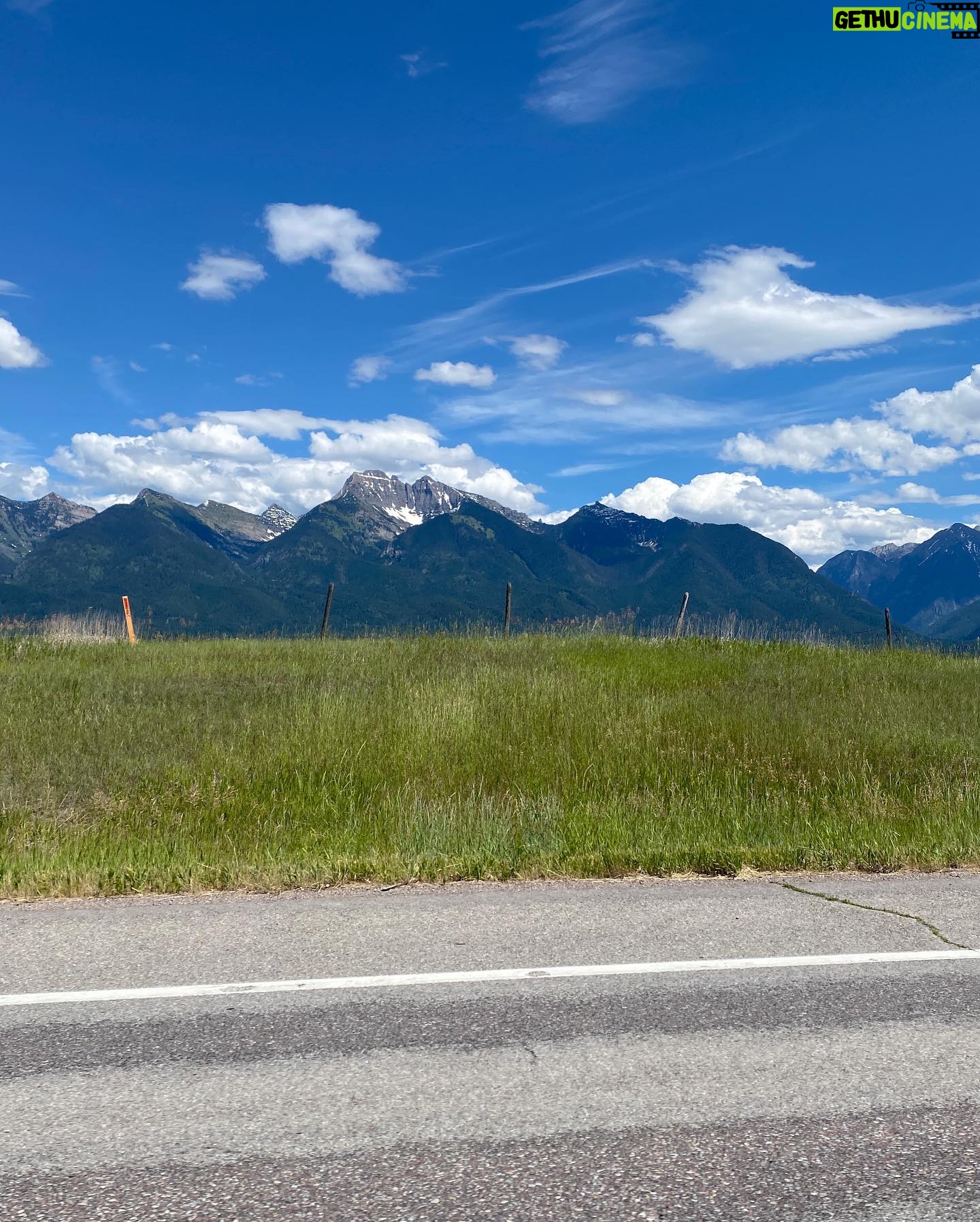 Ashley Platz - 3 Likes - Montana dump 🦬
