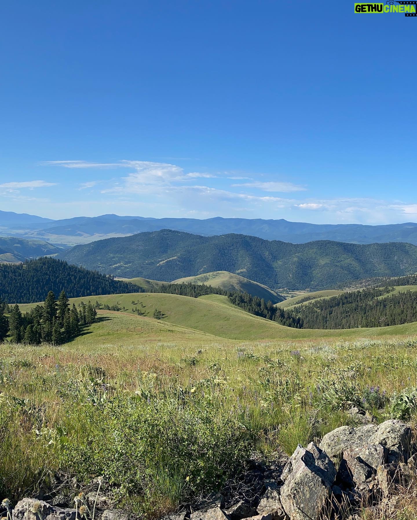 Ashley Platz - 3 Likes - Montana dump 🦬
