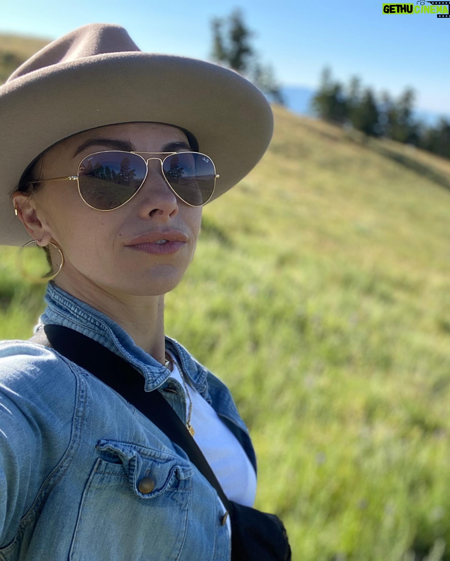 Ashley Platz - 3 Likes - Montana dump 🦬