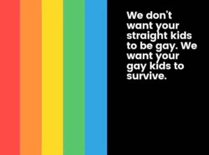Ashley Platz Instagram - #protecttranskids #protectgayyouth