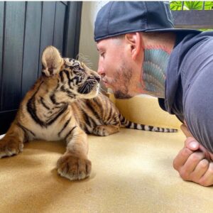 Askar Mozharov Instagram - 