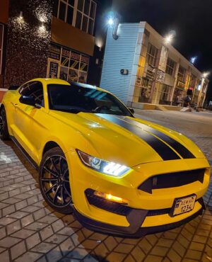 Askar Mozharov Instagram - Yellow 👑Ponny