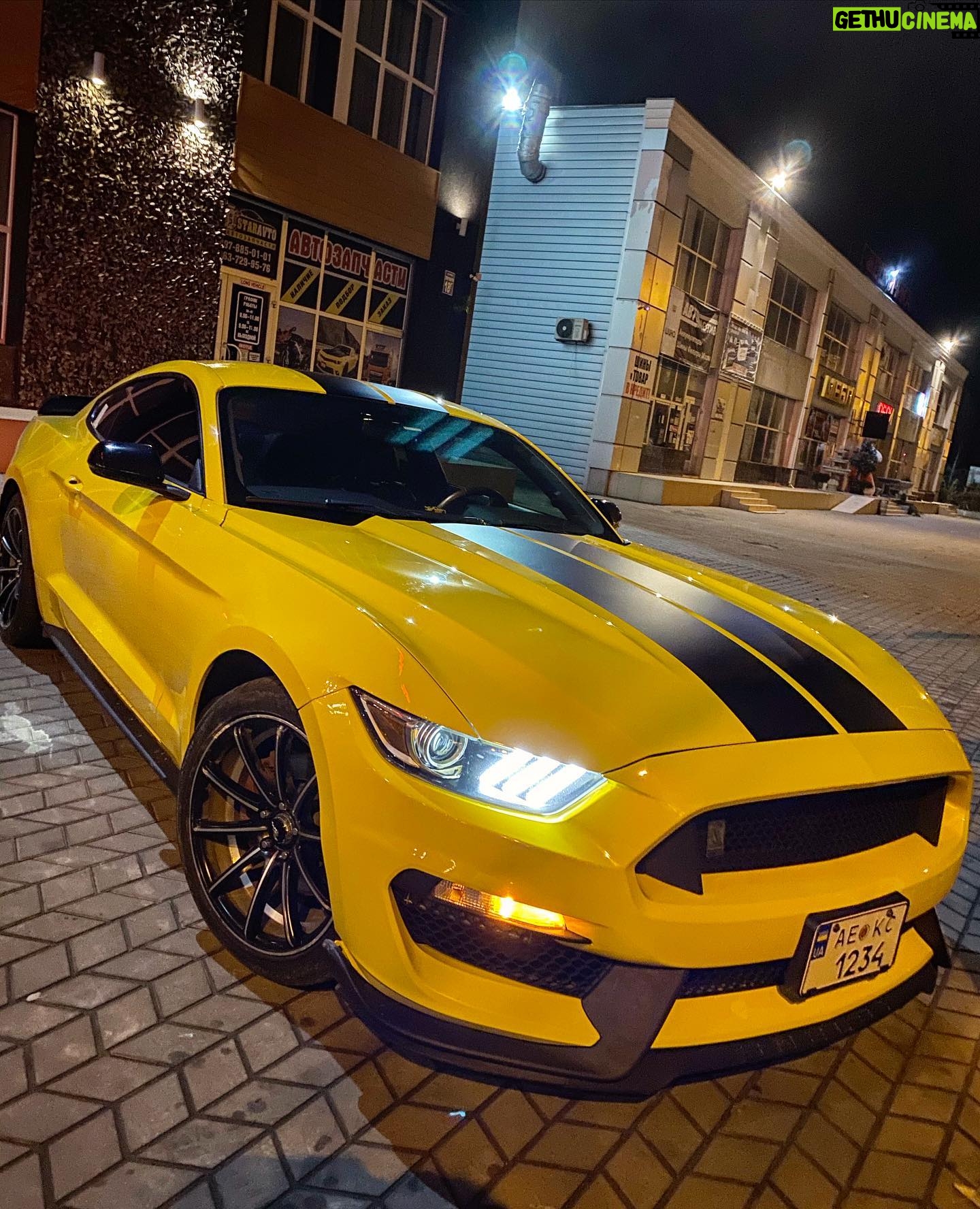 Askar Mozharov - 2.3K Likes - Yellow 👑Ponny