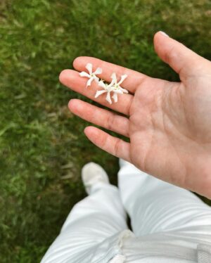 Aslı Enver Instagram - iki gözümün çiçeği💮