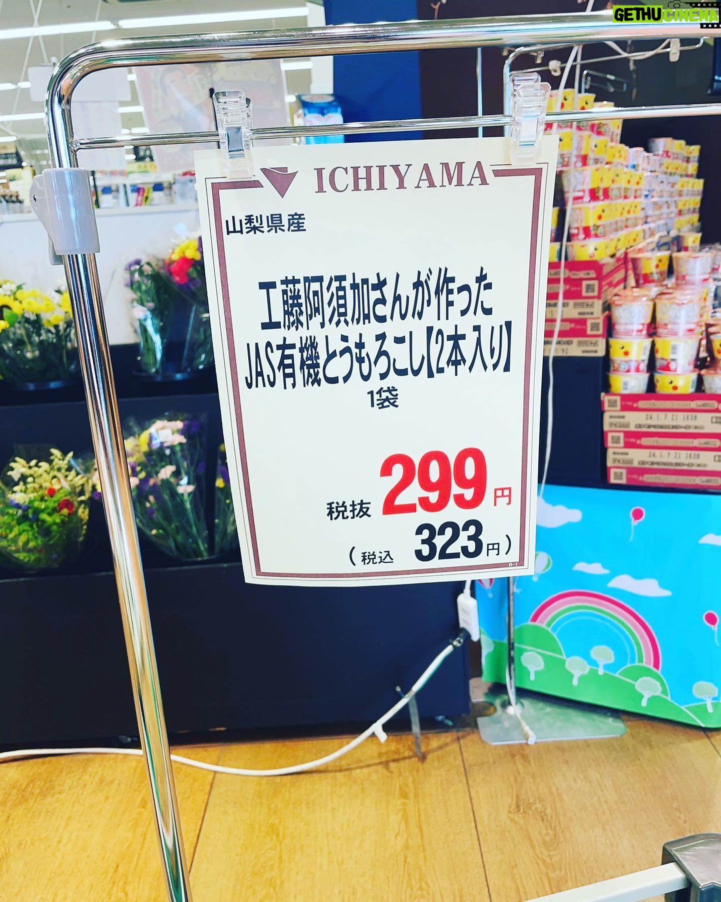 Asuka Kudo - 56.2K Likes - 今年1発目のトウモロコシ🌽
今日、いちやまマートさんで販売させて頂いております🙇
もうあと残り少しらしく、手にとって頂いた方々ありがとうございます🙇
美味しい!めっちゃ美味い!など、かなり励めになり来年また喜んで頂けるよう力になります😭
もっと頑張るぞー🫡
#スイートコーン
#トウモロコシ
#農業
#感謝
#美味しさを共有したい