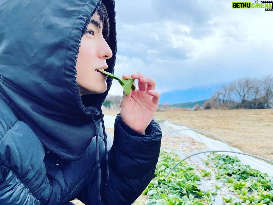 Asuka Kudo - 8.5K Likes - この前の年末に来たお客様はこの方でした😏
@maeda.gouki #前田公輝
初めて友達と年末過ごした笑
最高に素敵な時間をいつもありがとう☺️
とりあえず一つ言いたい。
俺より写り良すぎなのよ😑笑
やめてもらっていいですか🙄
#前田公輝
#年末