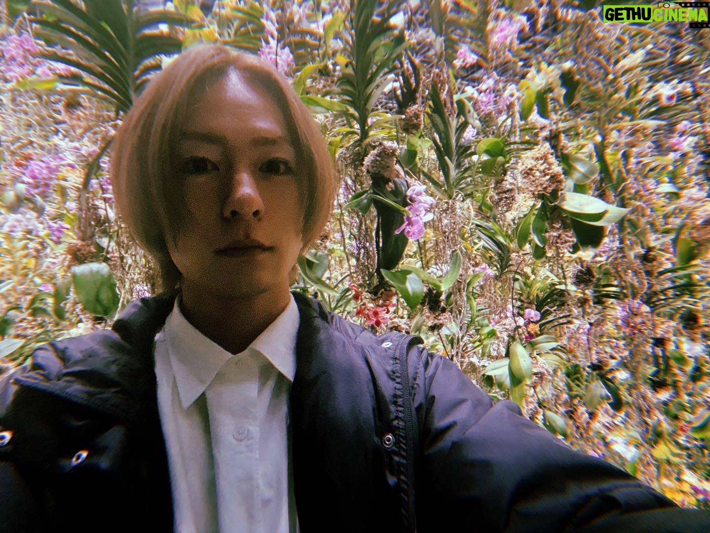Atsuhiro Inukai - 31.4K Likes - 本日23時59分から
ケイ×ヤク3話放送です。
この景色出てきます。
よろしくお願いします。
#ケイヤク#犬飼貴丈#獅郎#要は#テレビに出ます