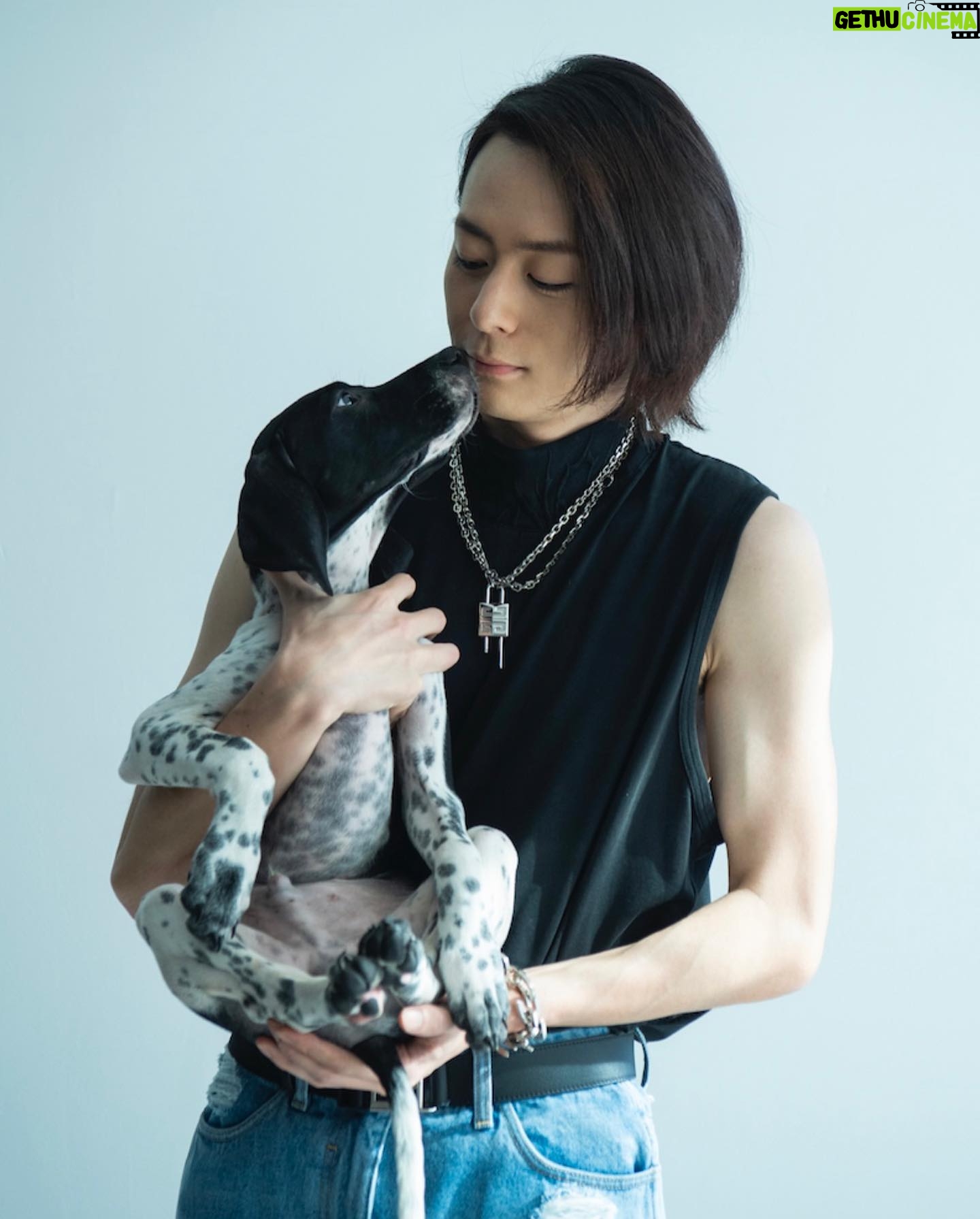 Atsuhiro Inukai - 50.2K Likes - エめぇ(エモい)
#gianna#giannamagazine#犬飼貴丈#dog
#nodognolife