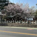 Atsuhiro Tsuda