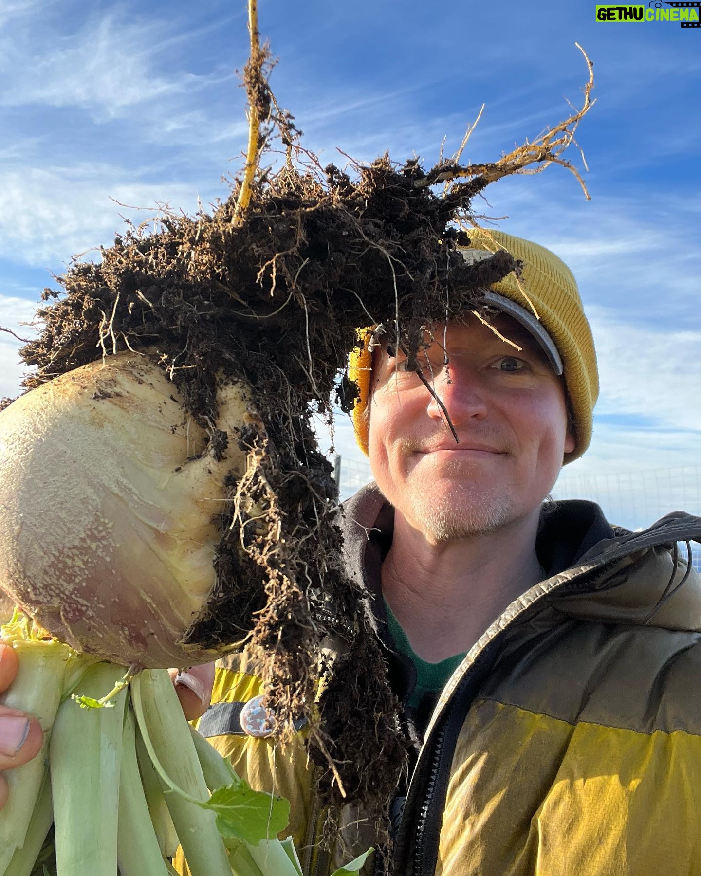 Atz Lee Kilcher - 6.8K Likes - That’s it for garden veg, 16* F this morning. Got it all out of the ground and put away just in time. #soup #soupseason #subsistence #rootcellar