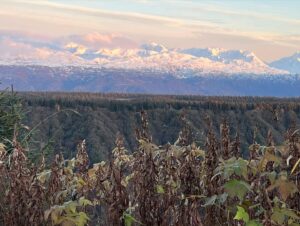 Atz Lee Kilcher Instagram - I present to you Autumn in Alaska. 
#shegone #fast #winterfall #bringiton