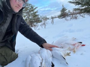 Atz Lee Kilcher Instagram - Ptarmigan pot pie for a few nights, not too pretty bad. 
#birdfordinner #thankful #subsistence #Alaskastuff