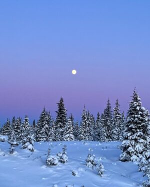 Atz Lee Kilcher Instagram - Let’s do better in 2024, we’ve got this. 
#hope #newyear #Alaska