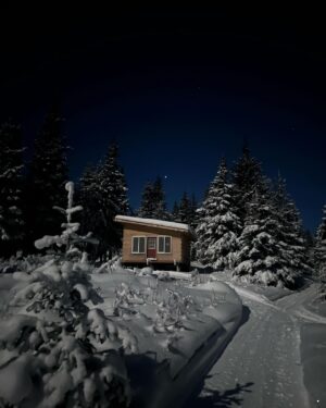 Atz Lee Kilcher Instagram - The hidden entrance to far off places. Dads new retirement cabin looking all mystical and shit. 
#fullmoon #narnia #Alaska