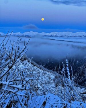 Atz Lee Kilcher Instagram - Take us to that place
Where nature speaks in silence 
And all is well enough
To sleep in winters slumber. 

#nature #silence #stopandlisten #heal