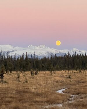 Atz Lee Kilcher Instagram - Study of the moon. Or rather, I took some pics while Out and about. Anyhoo, enjoy. 
#moon #Alaska #artsy #earthy #tasty #cheese