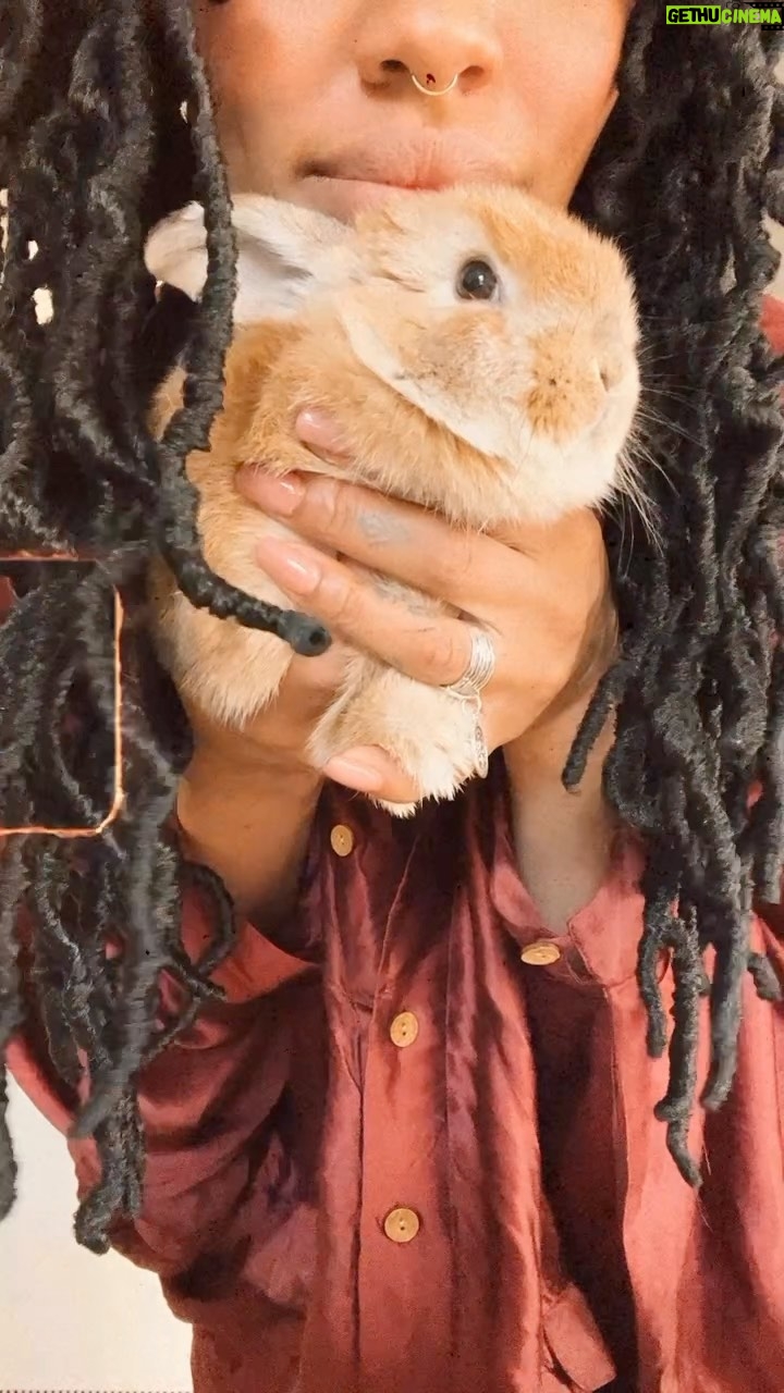 Aubin Wise - 1K Likes - We are just so in love with Little Biscuit. ❤️