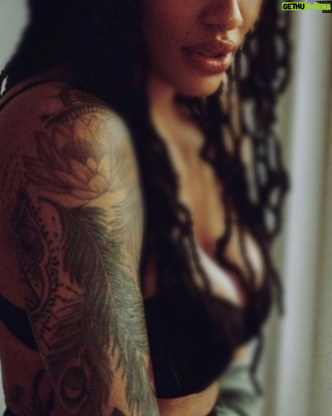 Aubin Wise - 863 Likes -