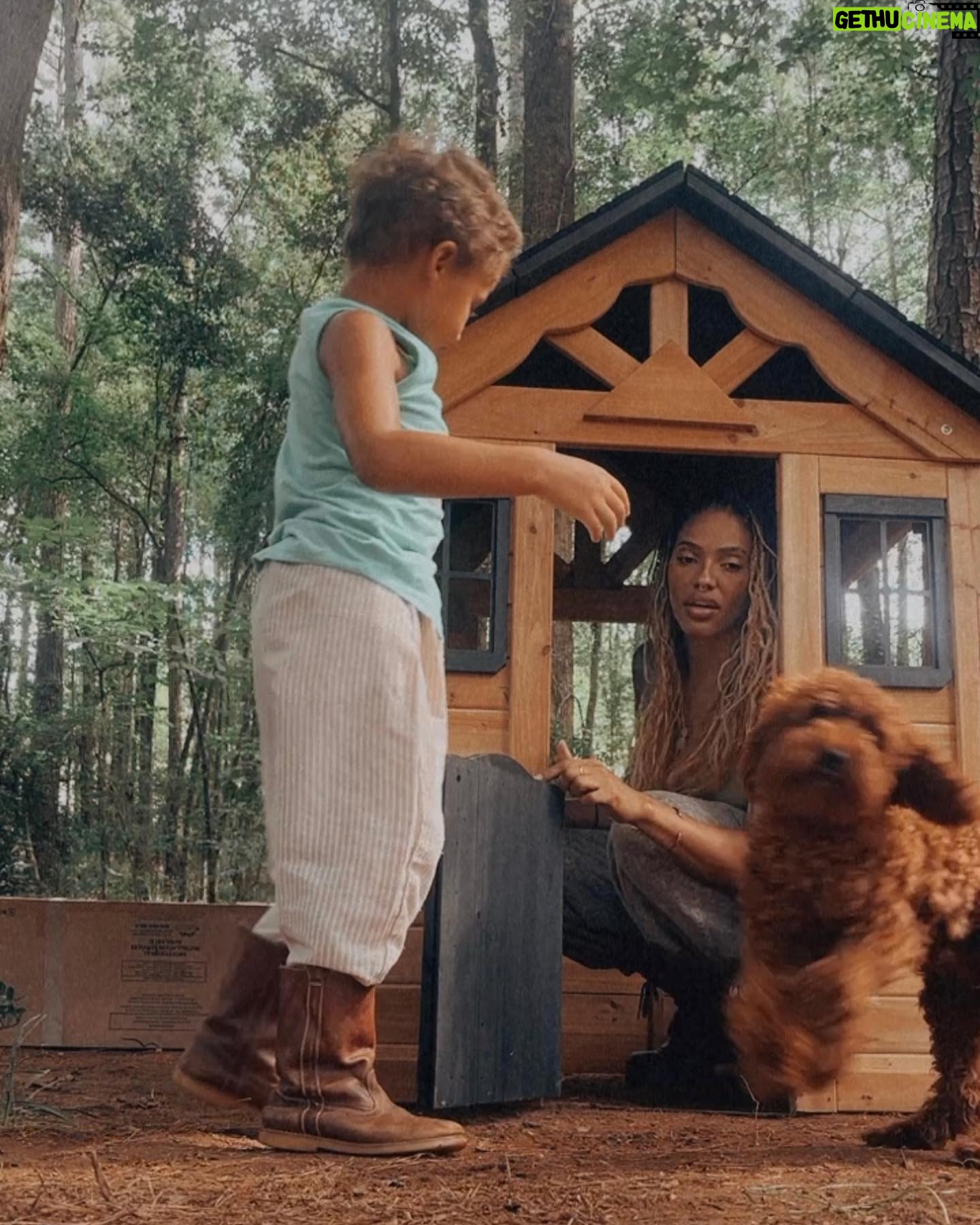 Aubin Wise - 828 Likes - Building a cabin in the woods