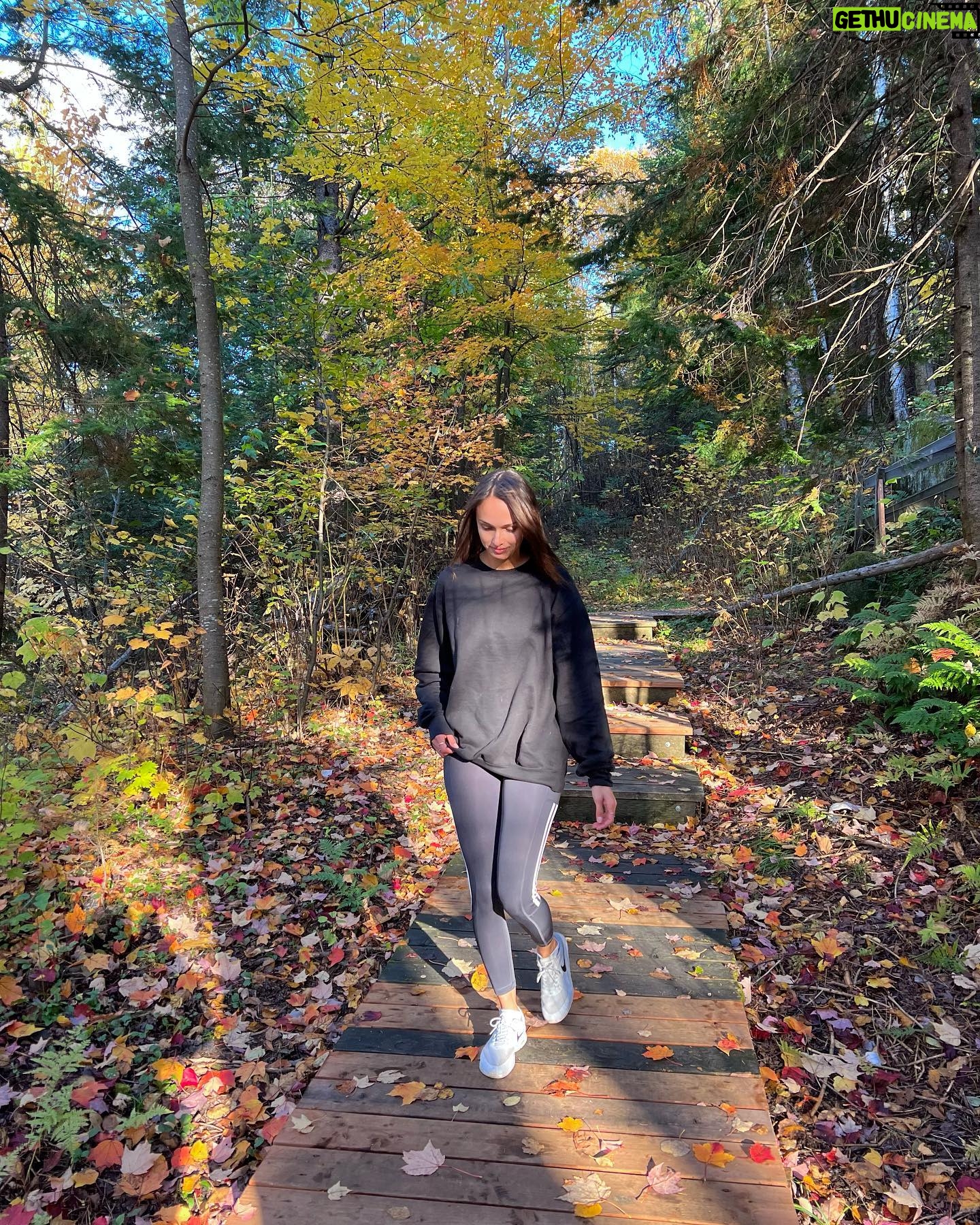 Audrey Blanchet - 648 Likes - La zenitude en nature🍂