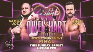 Austin Jenkins Instagram - It’s on. Finals are set. Cole vs. Joe.

#aewdon #owenhart #adamcolebaybay #boom