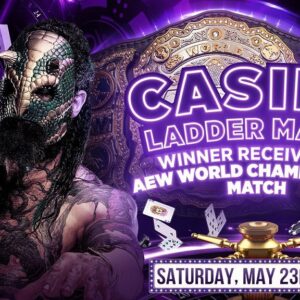 Austin Matelson Instagram - After 65 million years I’m finally gonna need a ladder for something #aew #doubleornothing #luchasaurus #casinoladdermatch