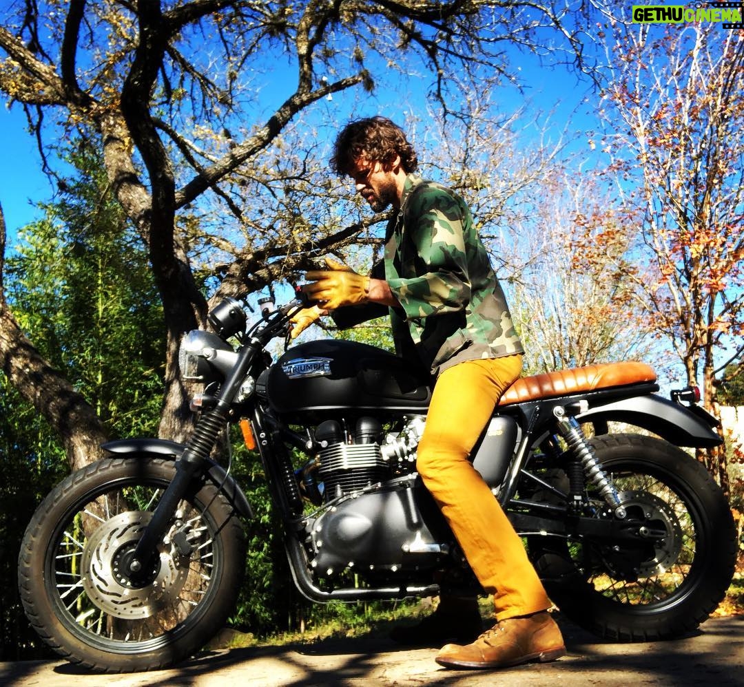 Austin Nichols - 6.5K Likes - My toys give me a lot of joy...
#triumphscrambler @triumphamerica @officialtriumph