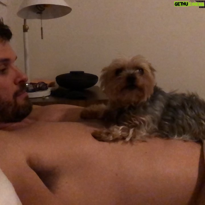 Austin Nichols - 20.1K Likes - This little creature came into my life two years ago and left tiny little paw prints on my heart. Those have turned into dinosaur footprints. She belonged to @hassieharrison . But she always gave the mornings to me. She woke me up. She begged me for breakfast. She barked until I took her on a walk. And then we would sit on the stoop and soak up the morning sun. Hassie gave her so many unique nicknames. My favorites were WockyMoly. Leetle. The Missus. Grimer. Guggenheimer. Grouper. Mama. Trinket. Coconut. And Blinkers. I crumble every time I think of her scratching at my leg when I was making dinner. And that I won’t be able to feel that again. I wish you all could have seen her turn into a Track Star the second her paws touched carpeted hotel hallways. She lived for that traction. The day she left us California had its biggest earthquake in 20 years. She was an earth shaker. The unforgettable Cocomeaux.