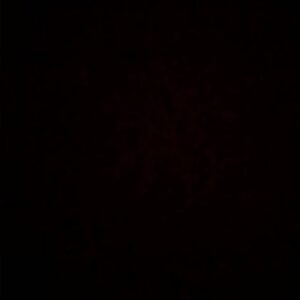 Austin Nichols Instagram - 