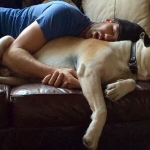 Austin Stowell Instagram - Oh Gus. Rest easy, Bubba. Love you always…