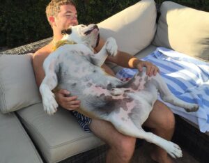 Austin Stowell Instagram - Celebration of Pig 3