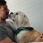Austin Stowell