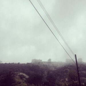 Austin Swift Instagram - Foggy Los Angeles is halfway between the Amazon and Silent Hill